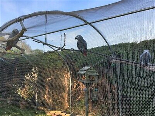 knitted mesh for aviaries.jpg